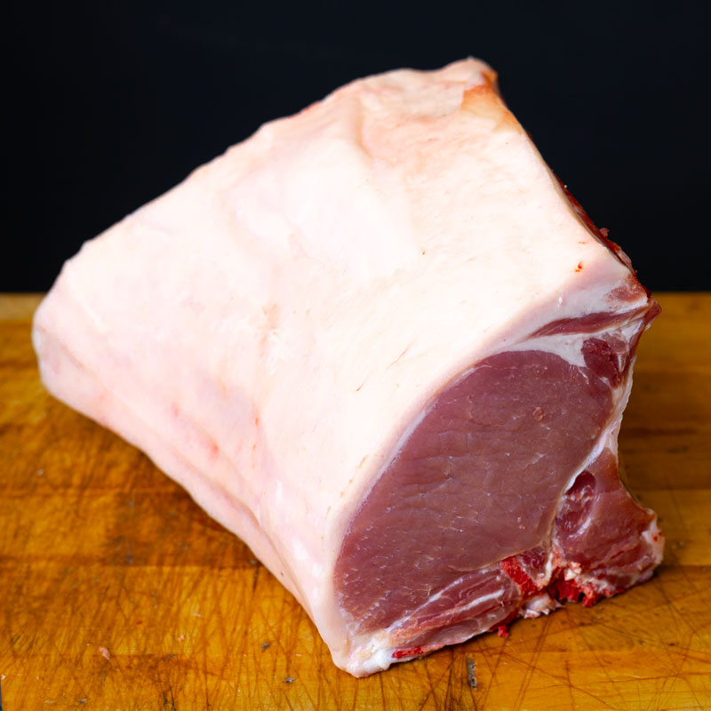 Costatelle