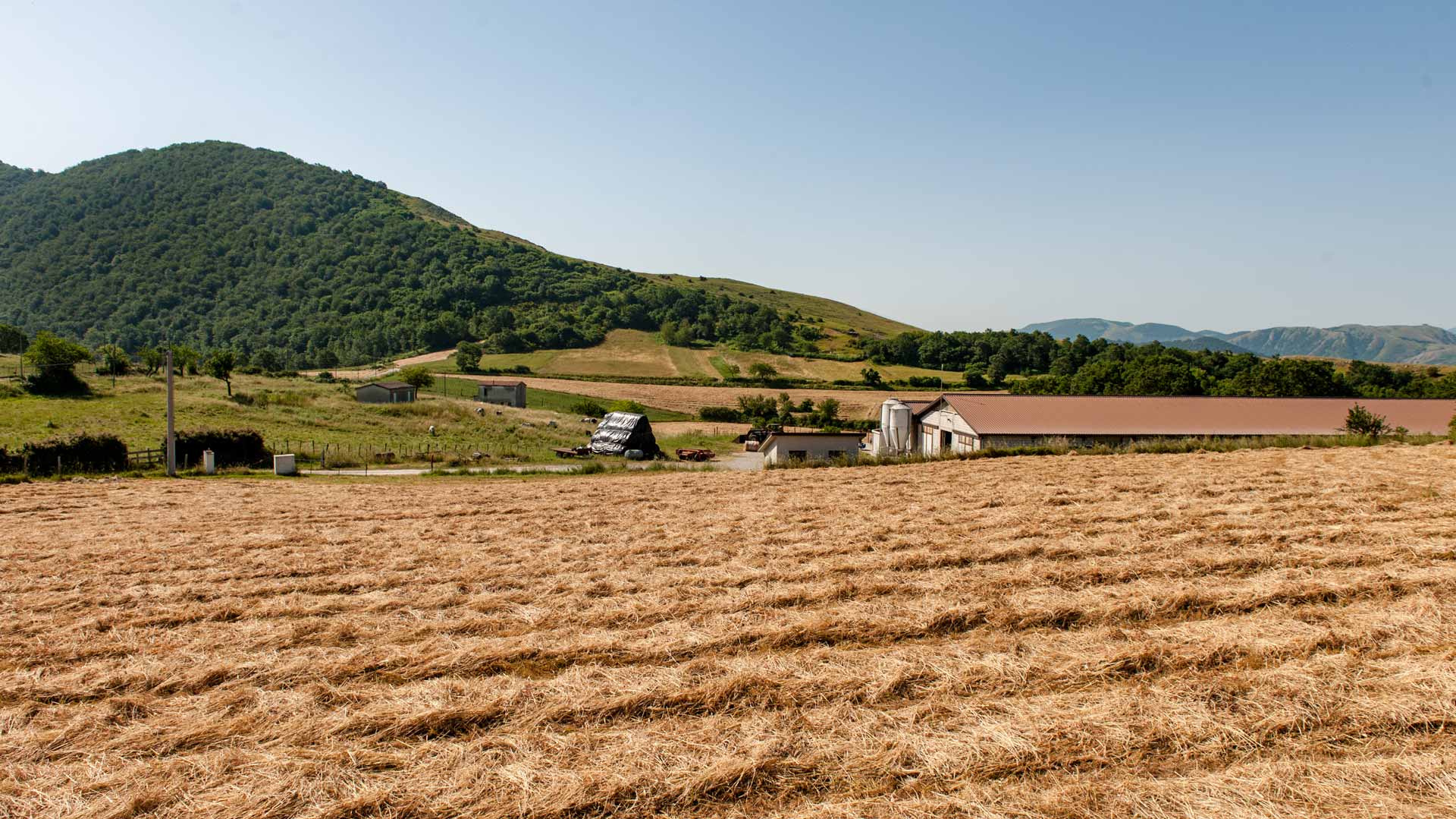 Carica video: