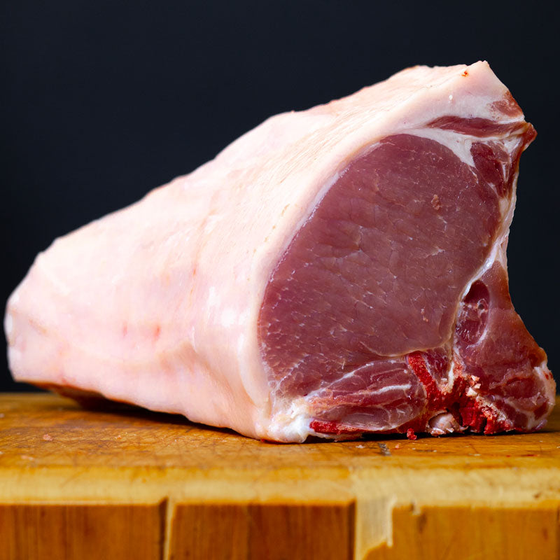 Costatelle