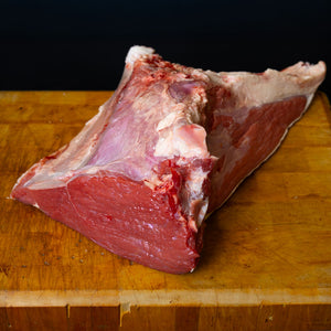 Dietrocoscia